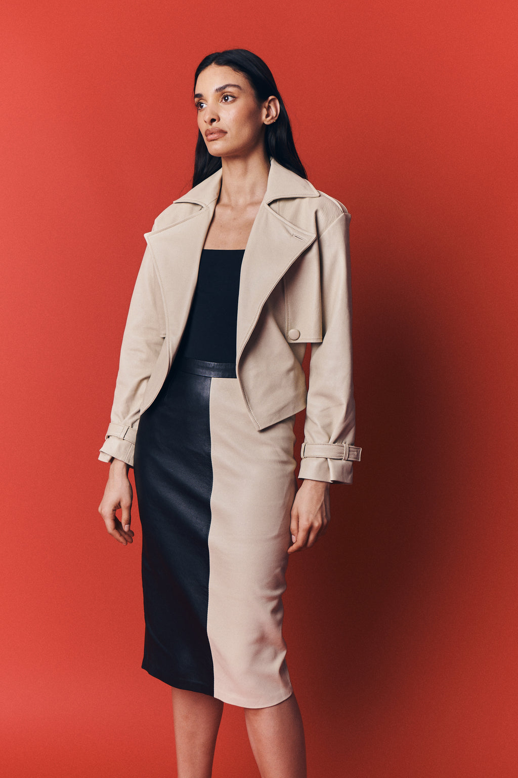 BLOCKING STRIPED SKINNY SKIRT